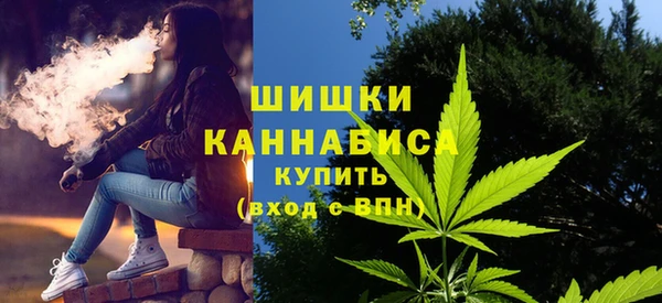 эйфоретик Арсеньев
