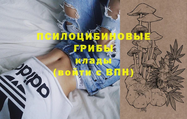 эйфоретик Арсеньев