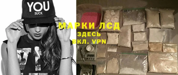 сатива Армянск